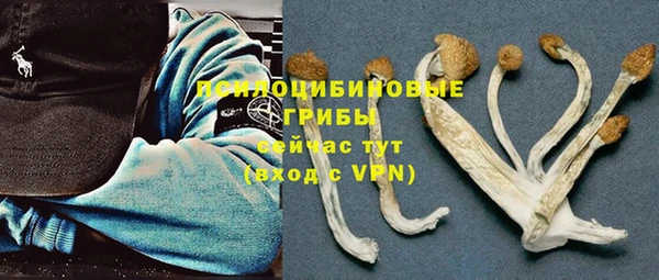 стафф Алексеевка