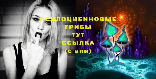 apvp Алзамай