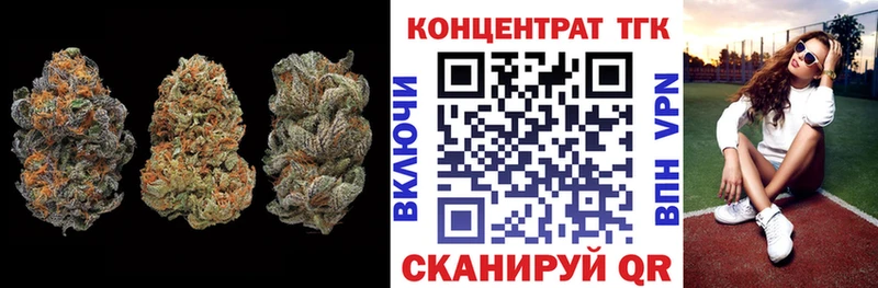 закладки  Полевской  ТГК концентрат 